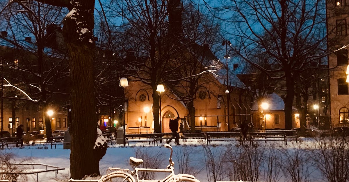 ilumina tu camino con nuestras luces para bicicletas de alta calidad. mejora tu visibilidad y seguridad mientras disfrutas de tus paseos nocturnos. ¡descubre nuestra variedad de luces y pedalea con confianza!