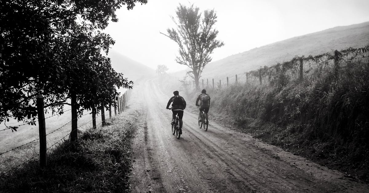 descubre el emocionante mundo del ciclismo: desde los mejores consejos para principiantes hasta las rutas más desafiantes. mejora tu técnica, explora nuevas aventuras y disfruta de los beneficios del ciclismo para la salud y el medio ambiente.