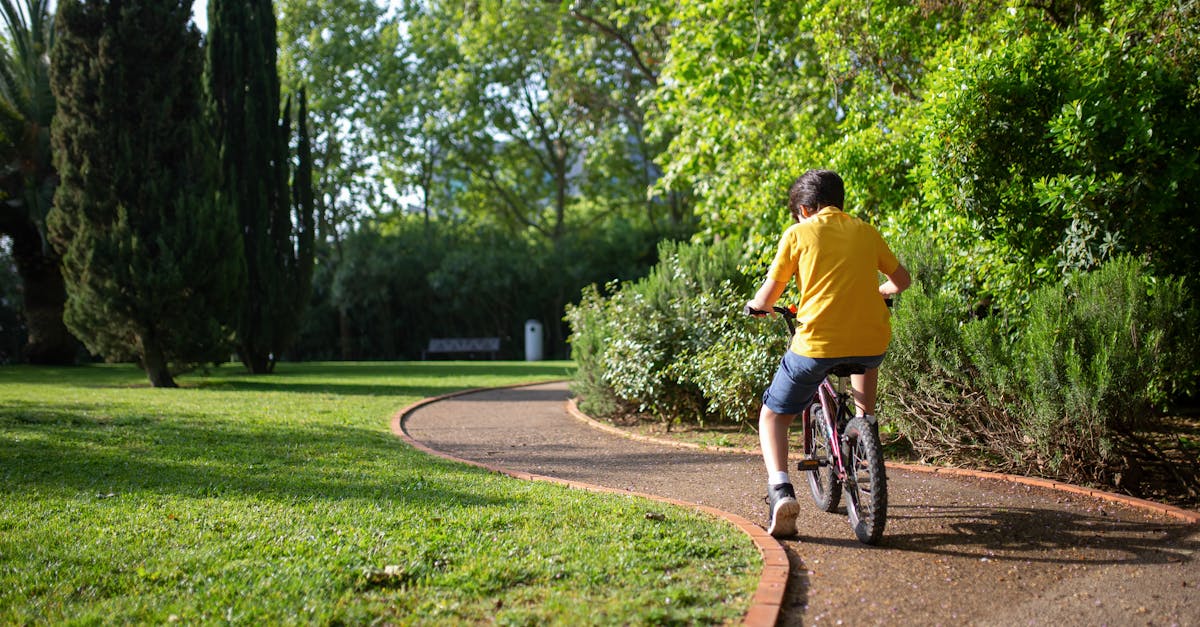 descubre cómo elegir el curso de ciclismo perfecto para ti. conoce los diferentes tipos de cursos, niveles de dificultad y consejos para maximizar tu experiencia en el ciclismo.