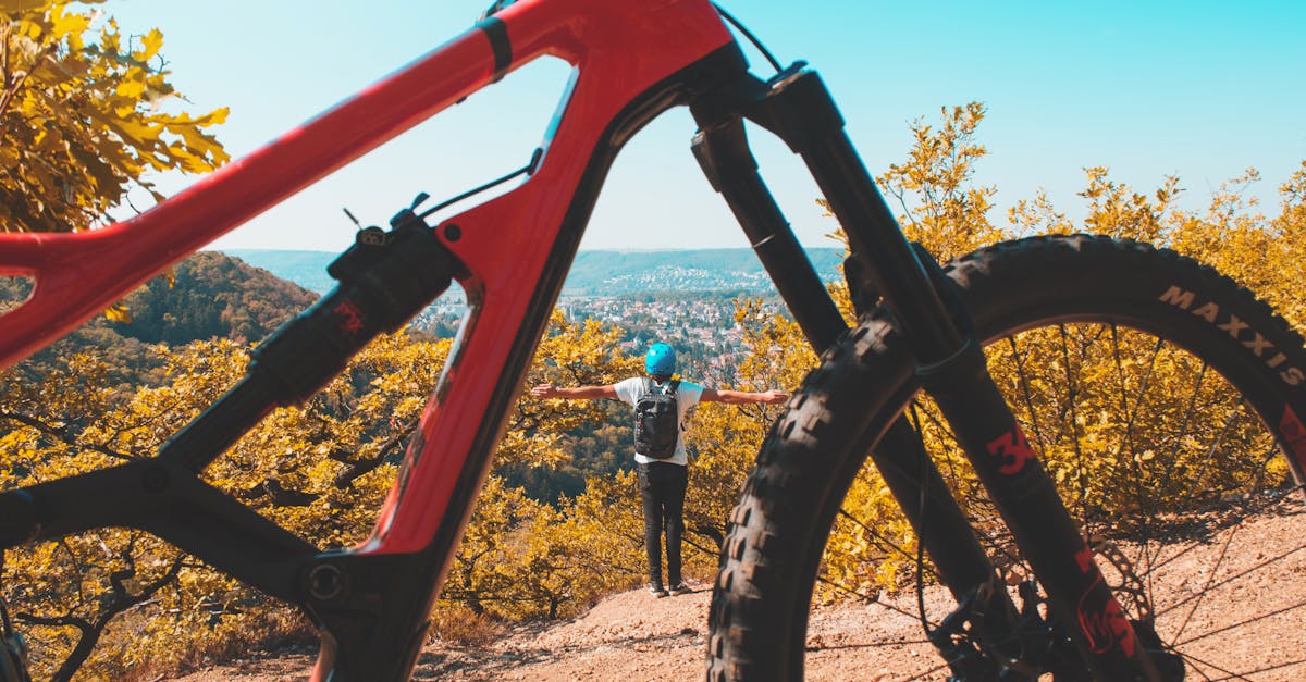 descubre la mejor selección de equipamiento para ciclismo: desde bicicletas de alta calidad hasta accesorios indispensables que mejorarán tu experiencia sobre dos ruedas. ¡prepárate para pedalear con estilo y comodidad!