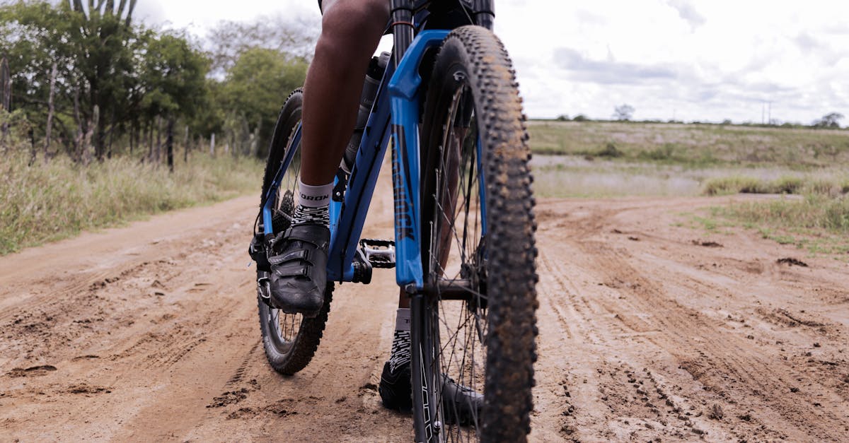 descubre nuestras zapatillas de ciclismo, diseñadas para ofrecer comodidad y rendimiento en cada pedaleo. con una variedad de estilos y tecnologías avanzadas, encuentra el par perfecto para tus rutas. ¡mejora tu experiencia sobre la bicicleta hoy!